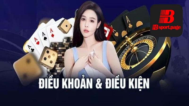 Thông tin quan trọng trong điều khoản và điều kiện Bsport